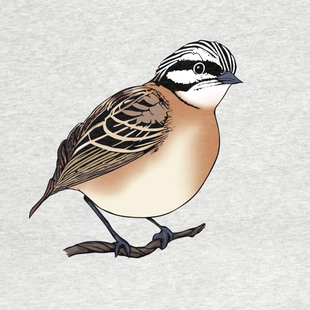 Fantail Bird Design by PasifikTee